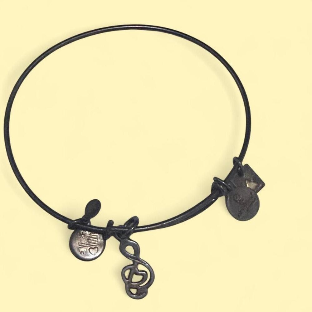 Alex-and-ani Women's Black and Silver Jewellery